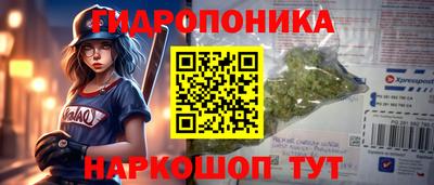 амф Дубна