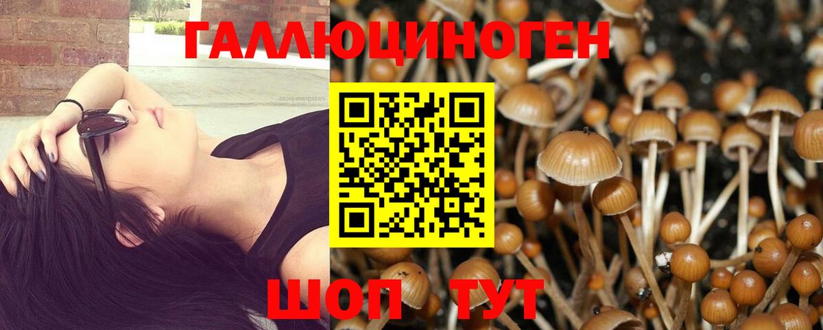 Псилоцибиновые грибы Psilocybe  Галлюциногенные грибы GOLDEN TEACHER  Кировск  Вход с VPN 